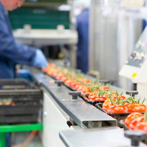 RFID Alimentación