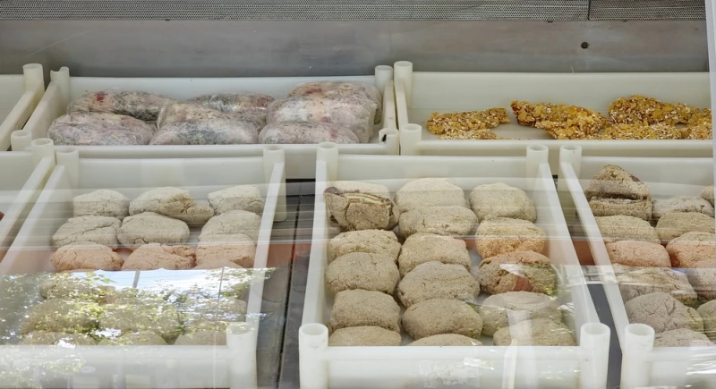 Aliementos congelados