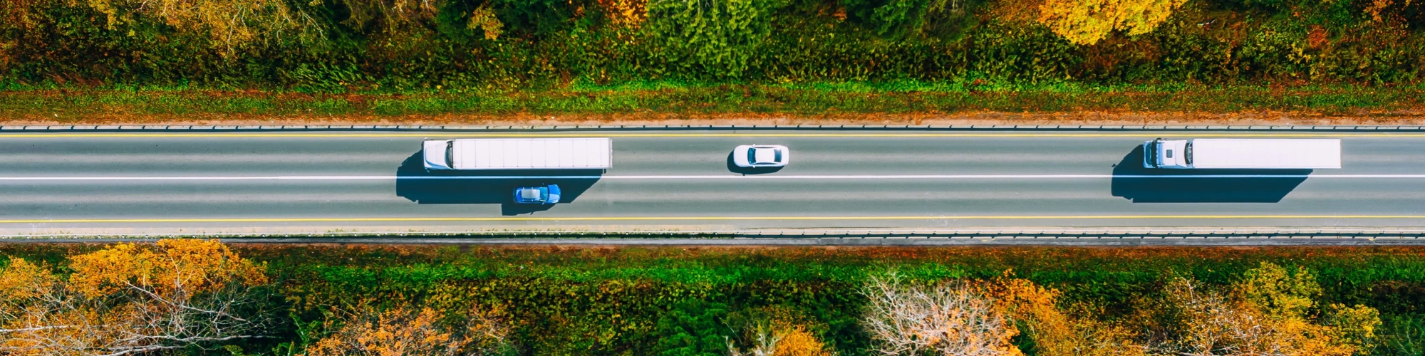 RFID para trasporte