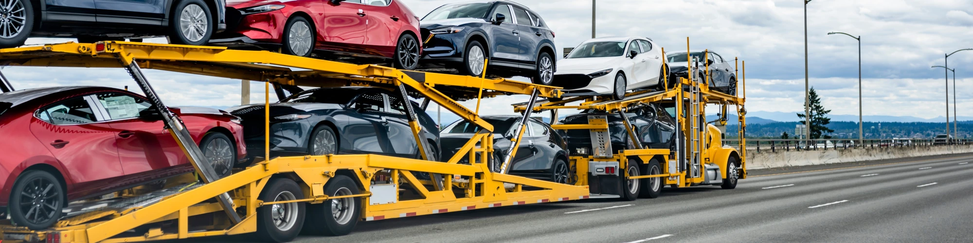 RID para Logística Vehiculos