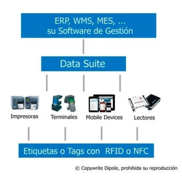 Dipole Data Suite