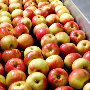 Frutas Verduras RFID